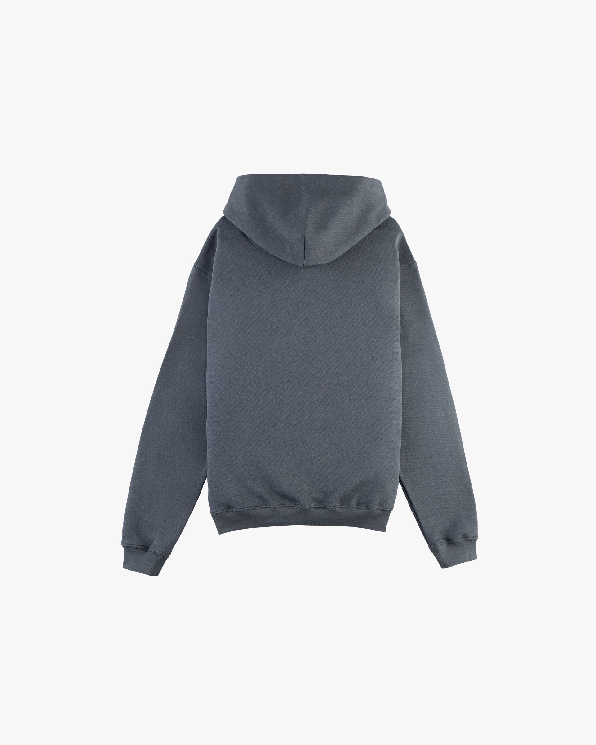 PLAIN ZIP HOODIE