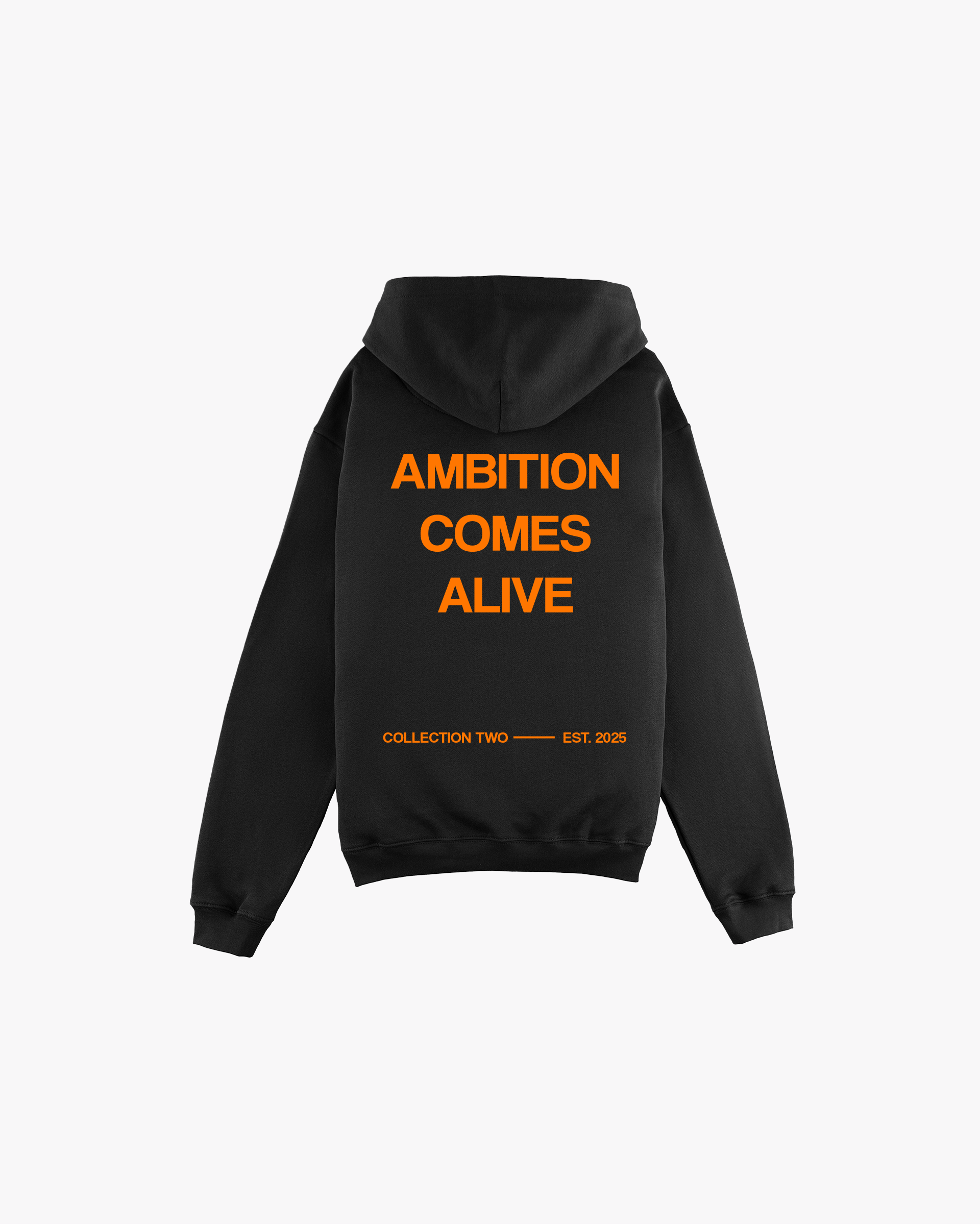 AMBITION COMES ALIVE KINGSDAY