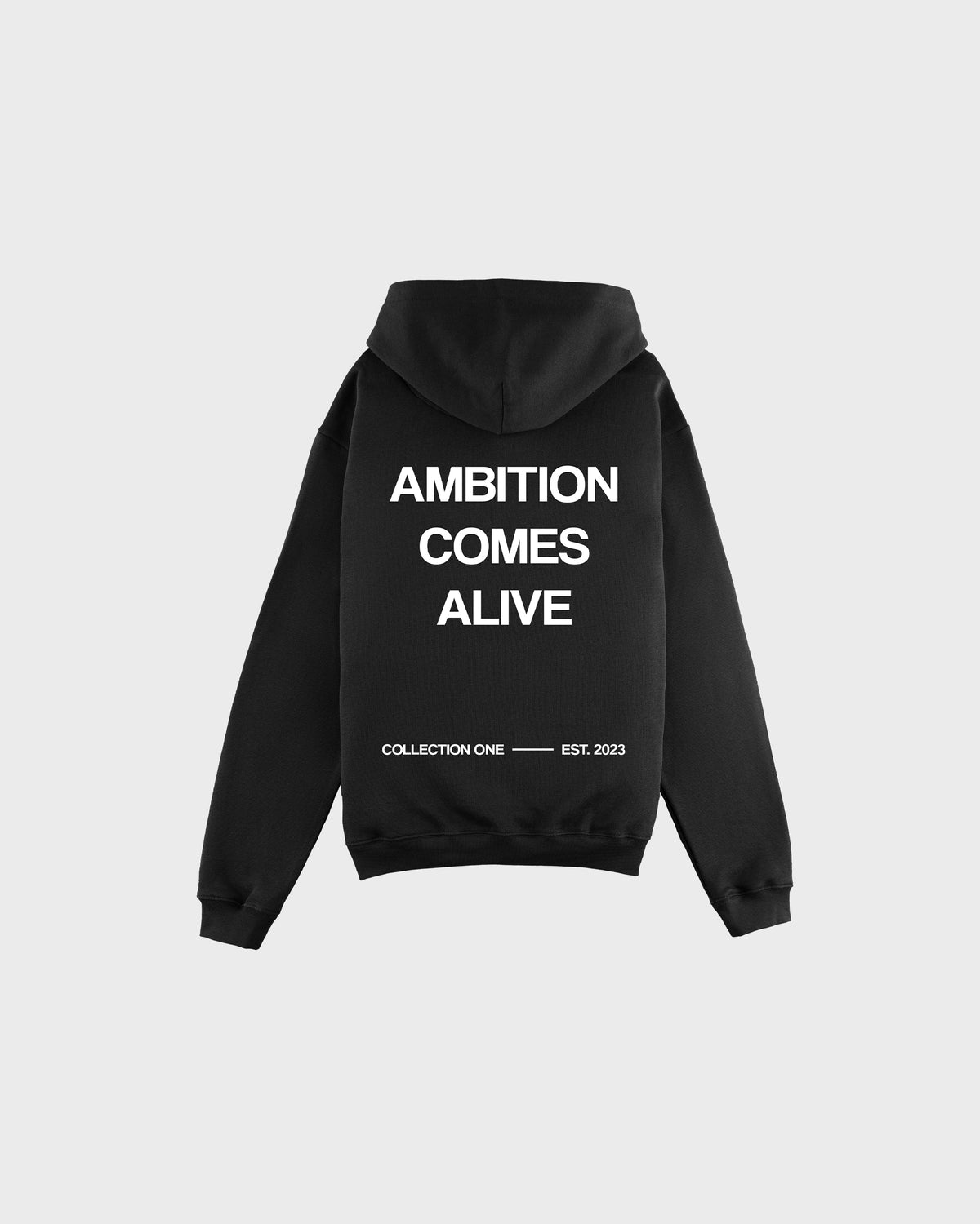 AMBITION COMES ALIVE 
