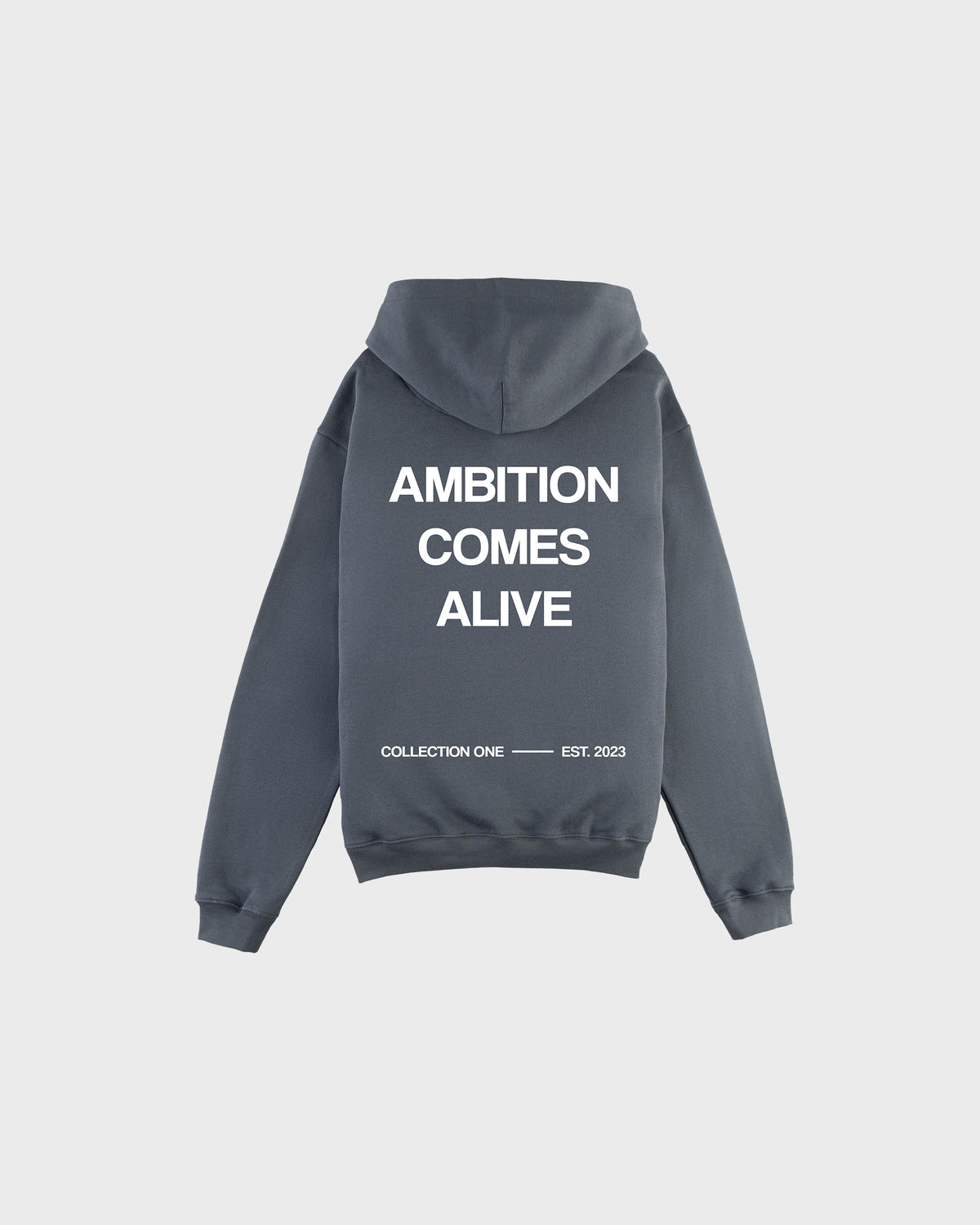 A.C.A ZIP HOODIE